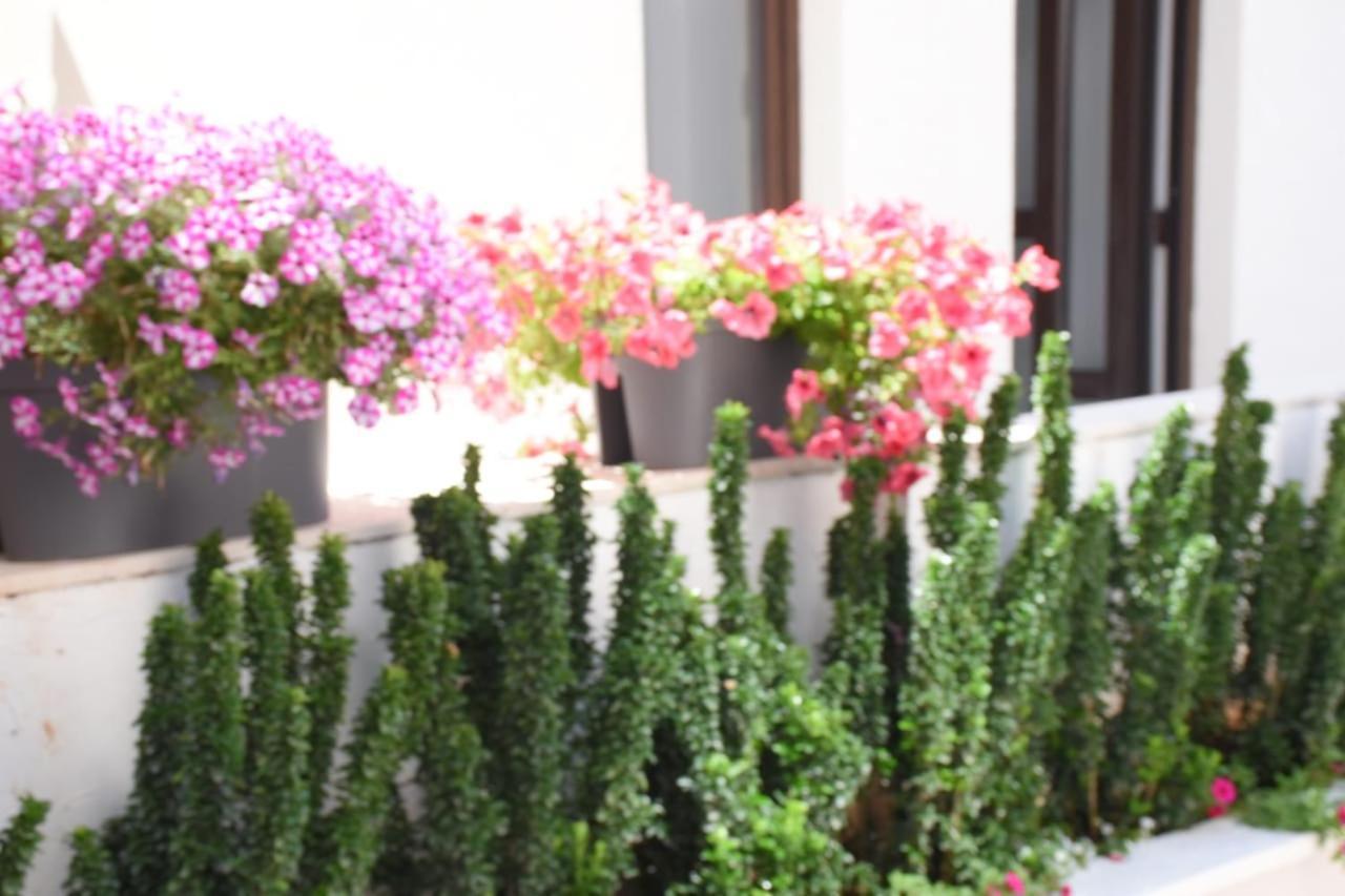 Apartments Petar بودفا المظهر الخارجي الصورة